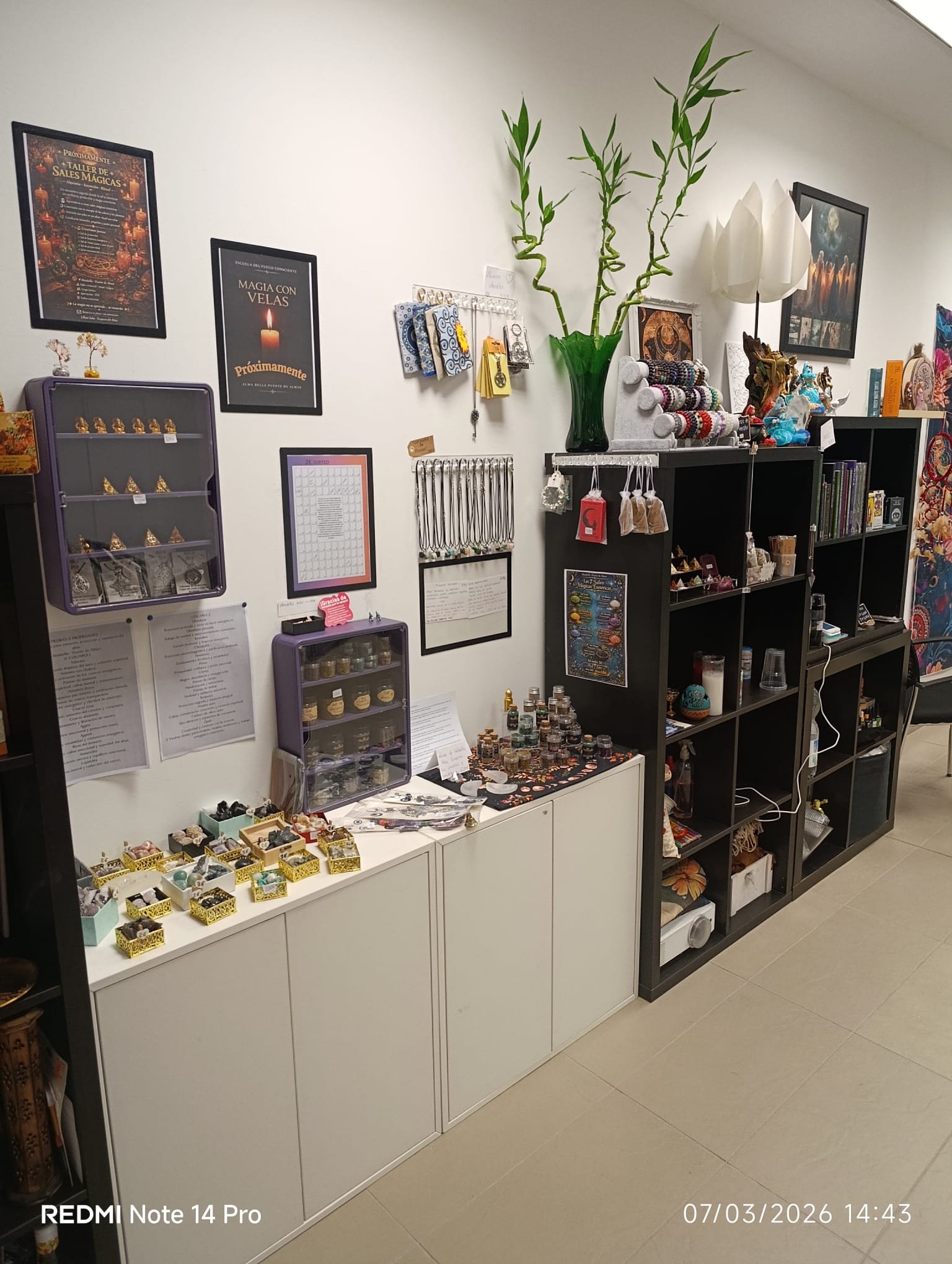 Rincón de tienda y minerales en la sala de Raíz Sagrada